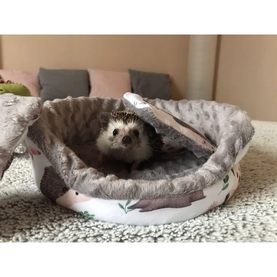 Kisfotel süni, tengerimalac számára - Őszi falevelek